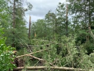 Tornado Damage in Marmora